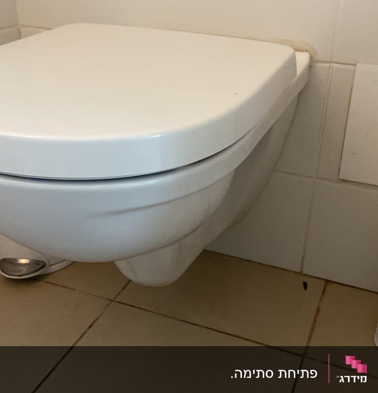 אסלה תלויה עם מברשת ניקוי בצד
